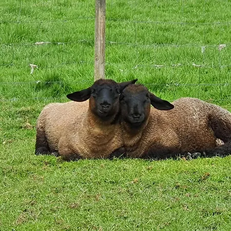 Casa De Aldea El Frade Hotel 2*