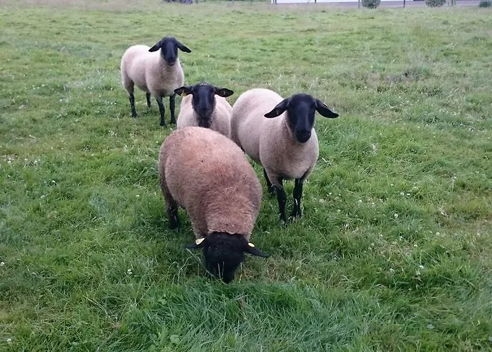 Casa De Aldea El Frade Ribadesella