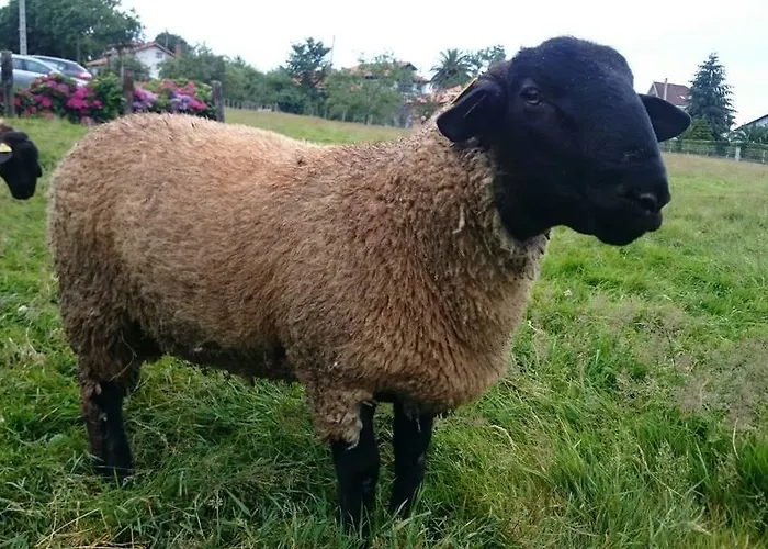 Casa De Aldea El Frade Hotel