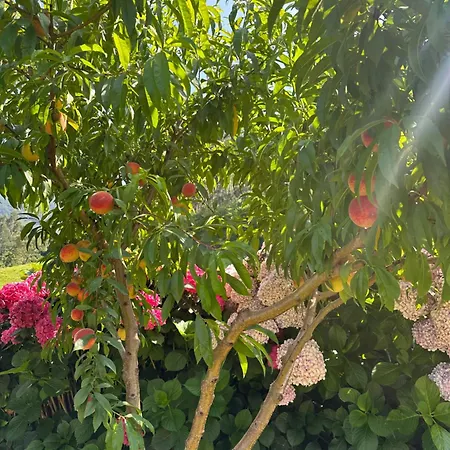 ホテル Casa De Aldea El Frade リバデセリャ