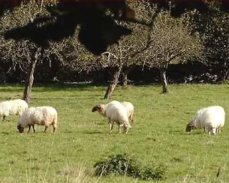 ホテル Casa De Aldea El Frade