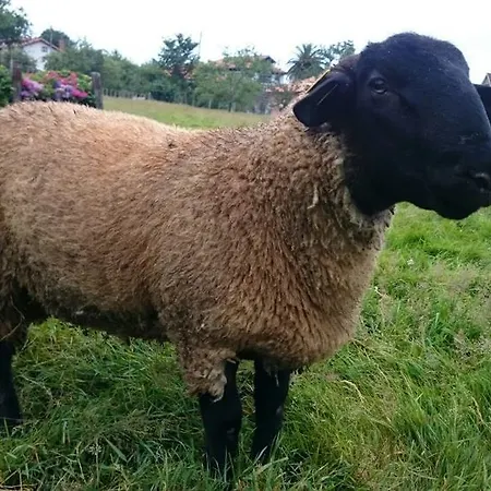 Casa De Aldea El Frade ホテル