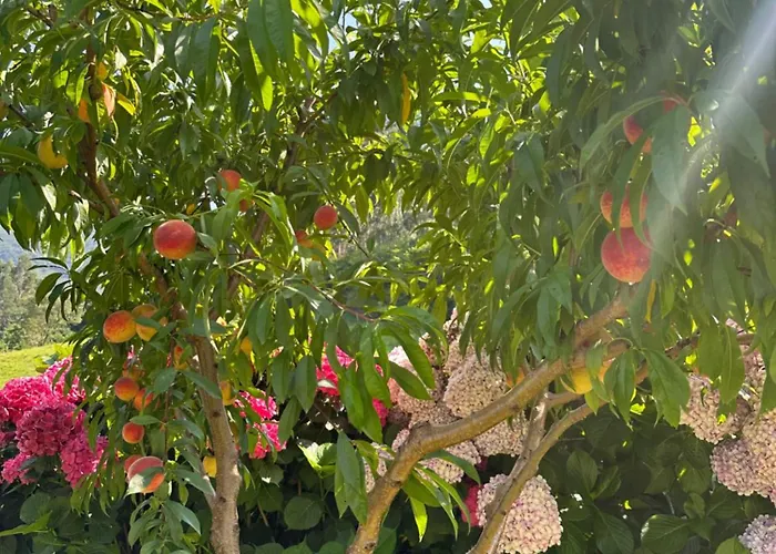 Hotel Casa De Aldea El Frade Ribadesella