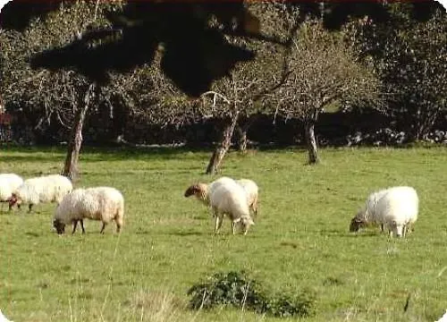 Hotel Casa De Aldea El Frade