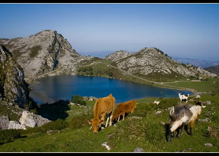 Casa De Aldea El Frade